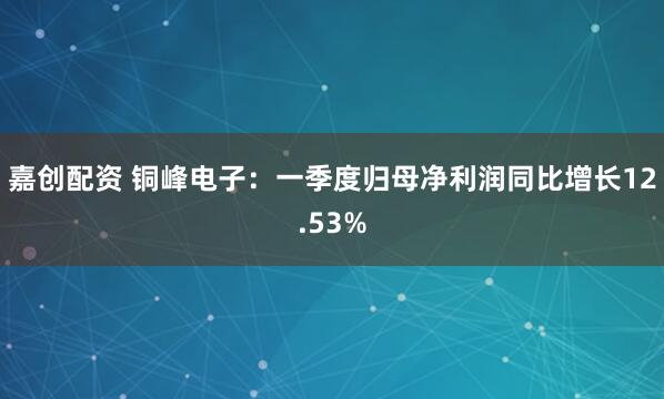 嘉创配资 铜峰电子：一季度归母净利润同比增长12.53%