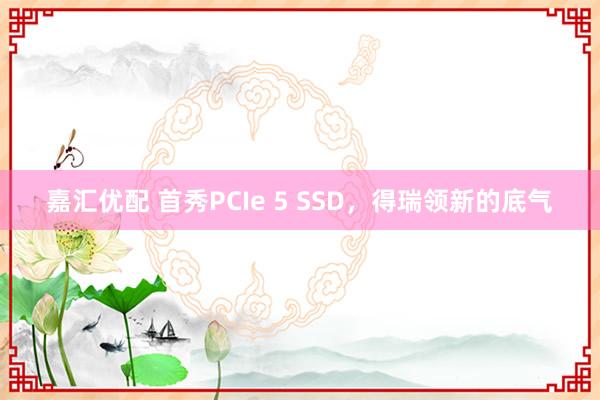 嘉汇优配 首秀PCIe 5 SSD，得瑞领新的底气