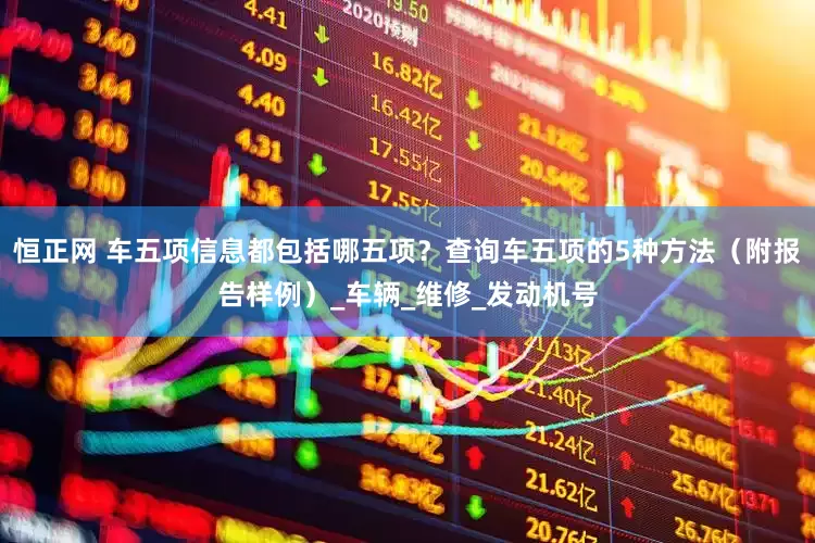 恒正网 车五项信息都包括哪五项？查询车五项的5种方法（附报告样例）_车辆_维修_发动机号