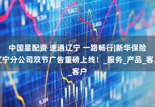中国星配资 速通辽宁 一路畅行|新华保险辽宁分公司双节广告重磅上线！_服务_产品_客户