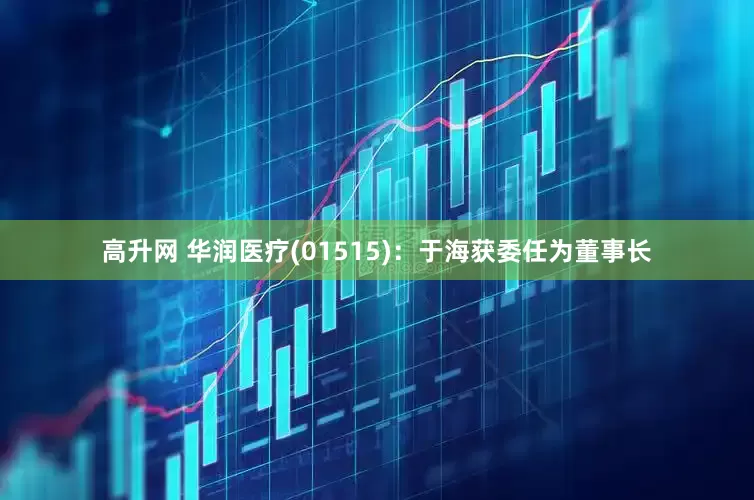 高升网 华润医疗(01515)：于海获委任为董事长