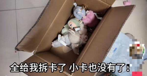 永宝网 女子网购拉布布盲盒，拆开发现包装全无仅剩6个“裸娃” 中通快递回应