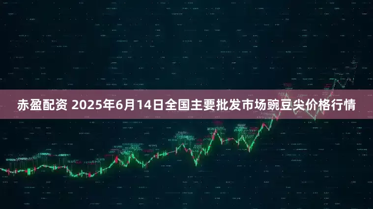 赤盈配资 2025年6月14日全国主要批发市场豌豆尖价格行情