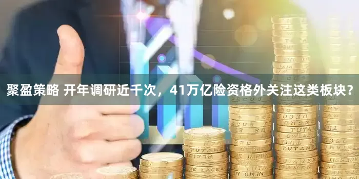聚盈策略 开年调研近千次，41万亿险资格外关注这类板块？